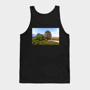 Afternoon at Kelly Farm Tarn Tank Top